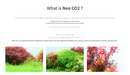 Neo Co2 System Complete Kit
