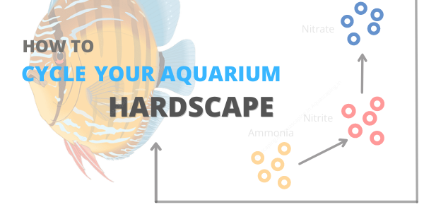 How to cycle your aquarium: Freshwater Hardscape