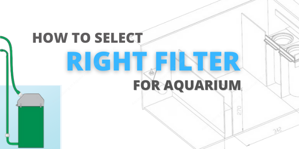 How to select the right filter for your aquarium Sponge filter, Hang on Back, Canister or sump