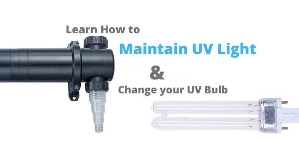 Tips on Maintaining your UV Steriliser