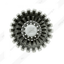 Mountain Tree Skimmer