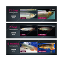 Tica ARO 10 Tanning Light