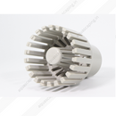 Mountain Tree Skimmer