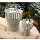 Mountain Tree Skimmer