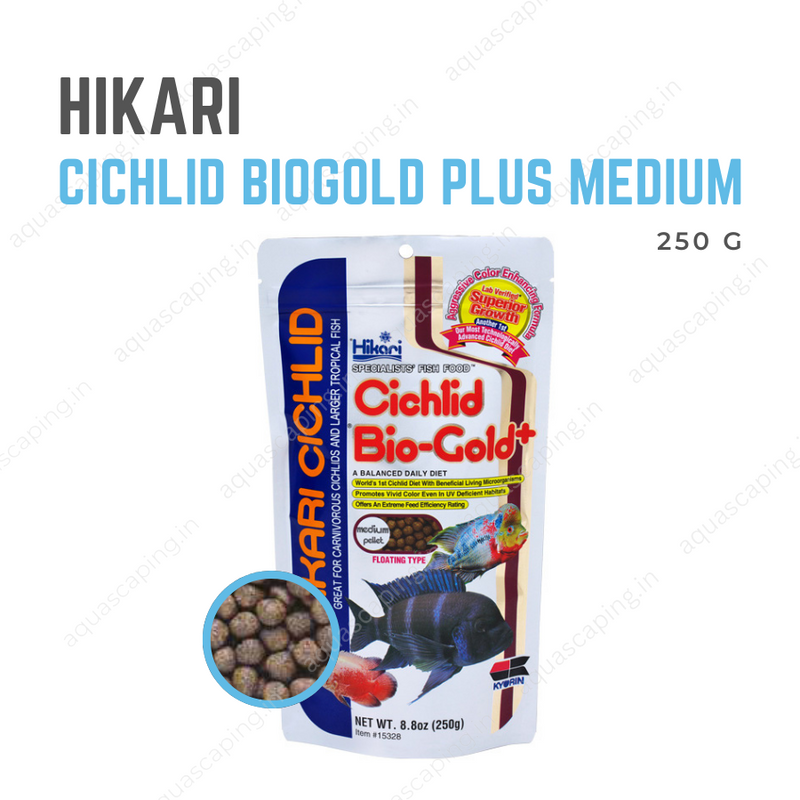 Buy Hikari Cichlid Biogold Plus Medium - 250g