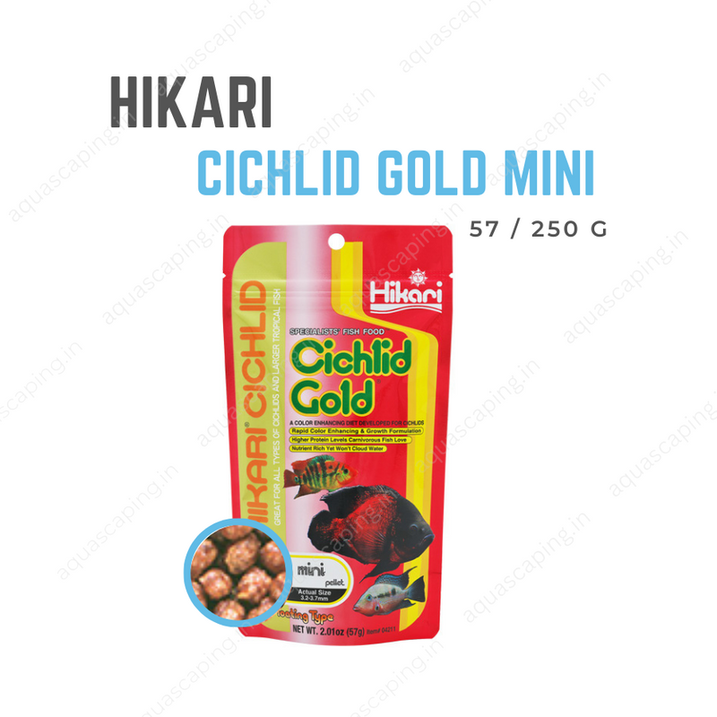 Buy Hikari Cichlid Gold Medium