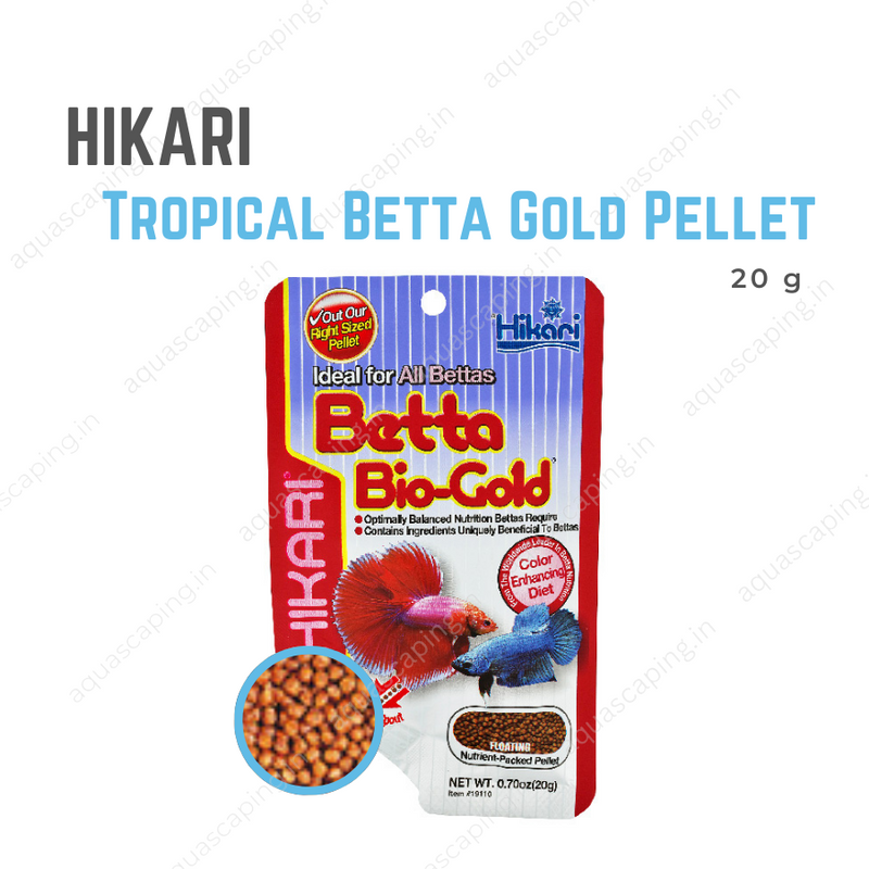 Hikari Tropical Betta Bio-Gold