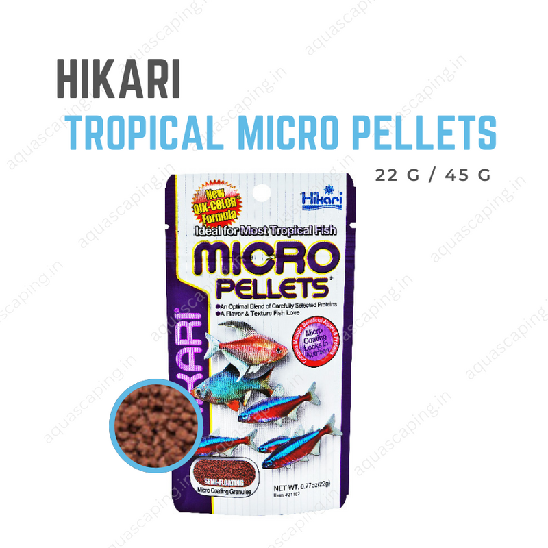 Buy Hikari Tropical Micro Pellets