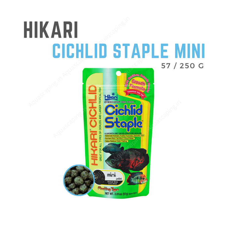 Buy Hikari cichlid staple mini