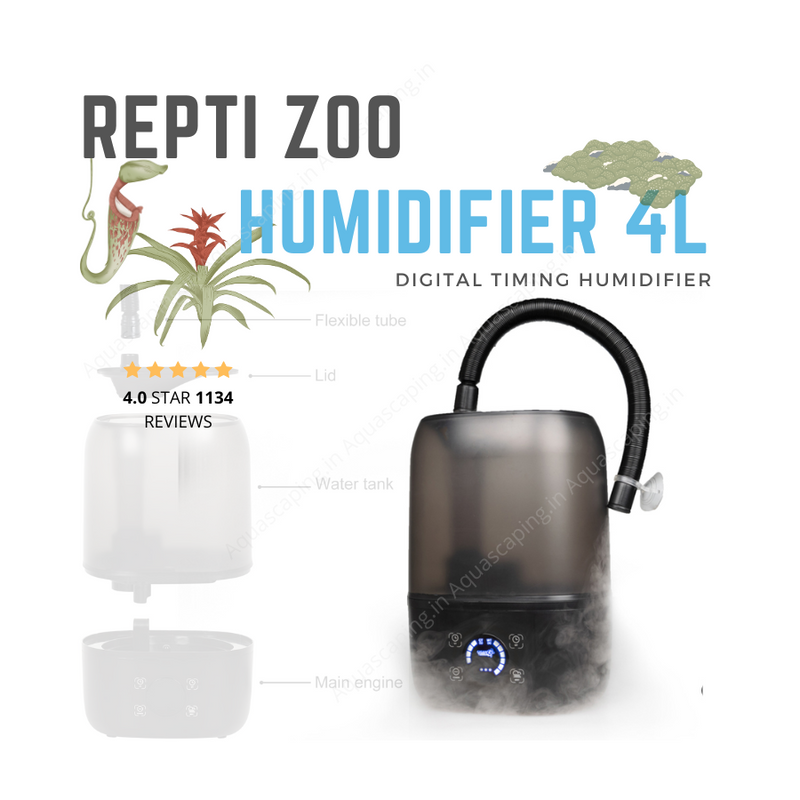 India repti zoo 4L humidifier external for paludarium aquarium plants to create humidity automatic TF03 aquatic plants humidity India buy now