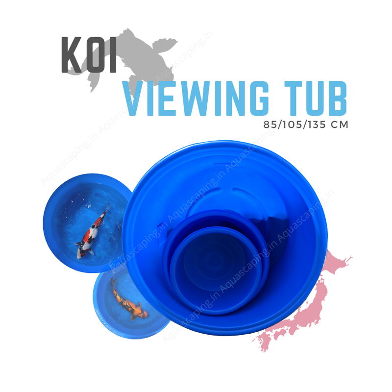 Koi Viewing tub inspection bowl for professional koi from japan