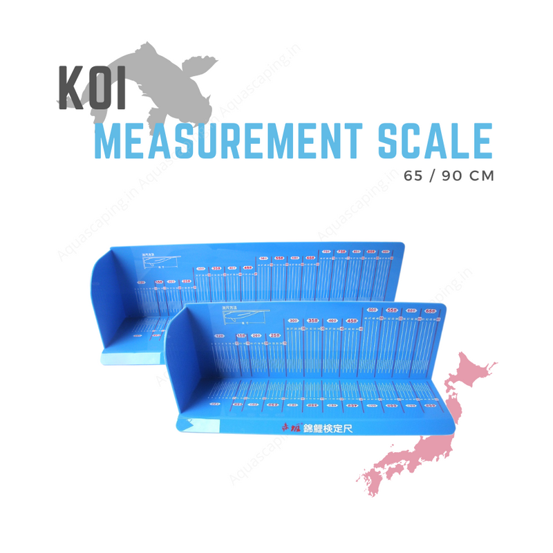 Koi fish measurement professional scale japan india 