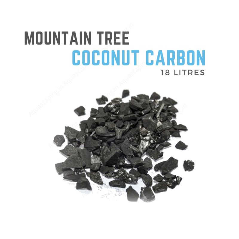 Mountain Tree Coconut Carbon media buy in India.