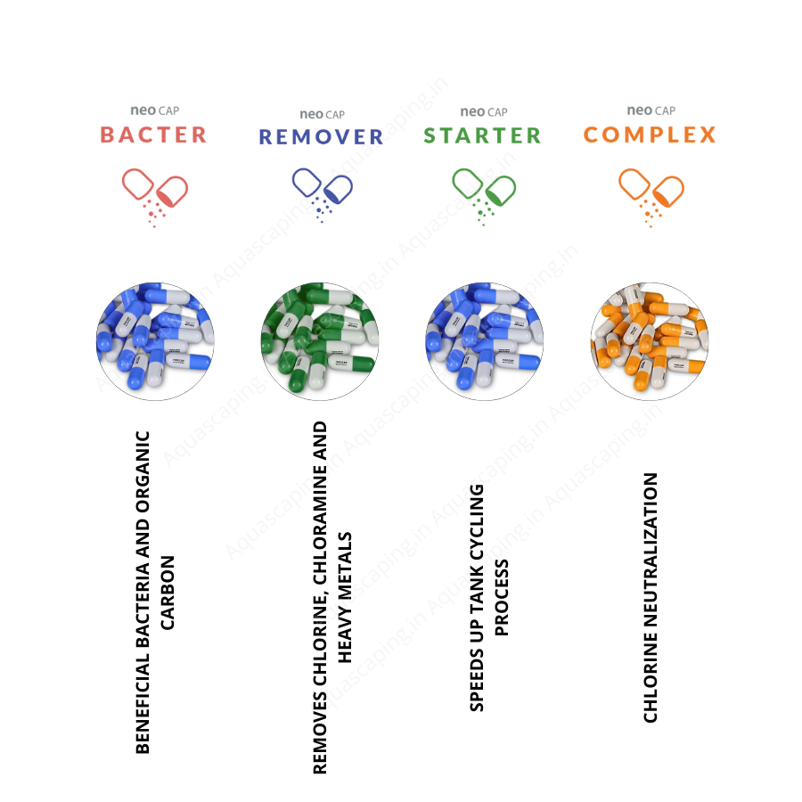 Bacter Neo Cap Bacter - Beneficial Bacteria and Organic Carbon