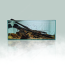 amazon biotope created using ancient rocks by aquascaping