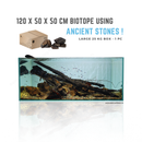 amazon biotope created using ancient rocks by aquascaping quantity defined