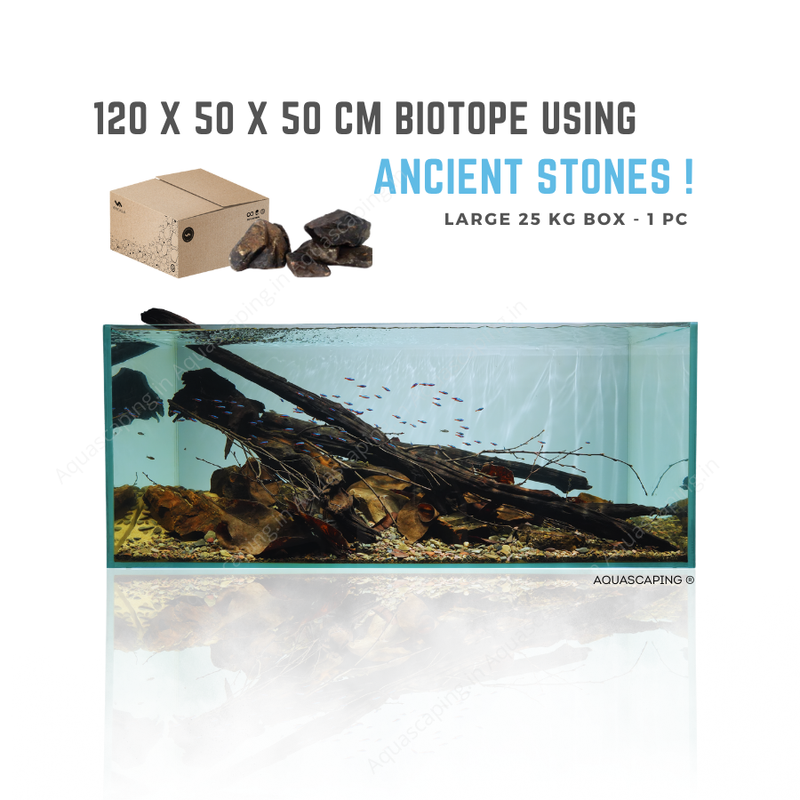 amazon biotope created using ancient rocks by aquascaping quantity defined