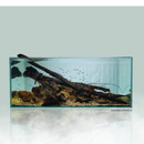 aquasand mongo sand and river gravel used in 120 cm amazon biotope aquarium final picture