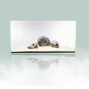 aquascaping hardscape ash stones used in aquarium display