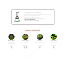 Neo Plants Tabs / K / Fe / ST.Long