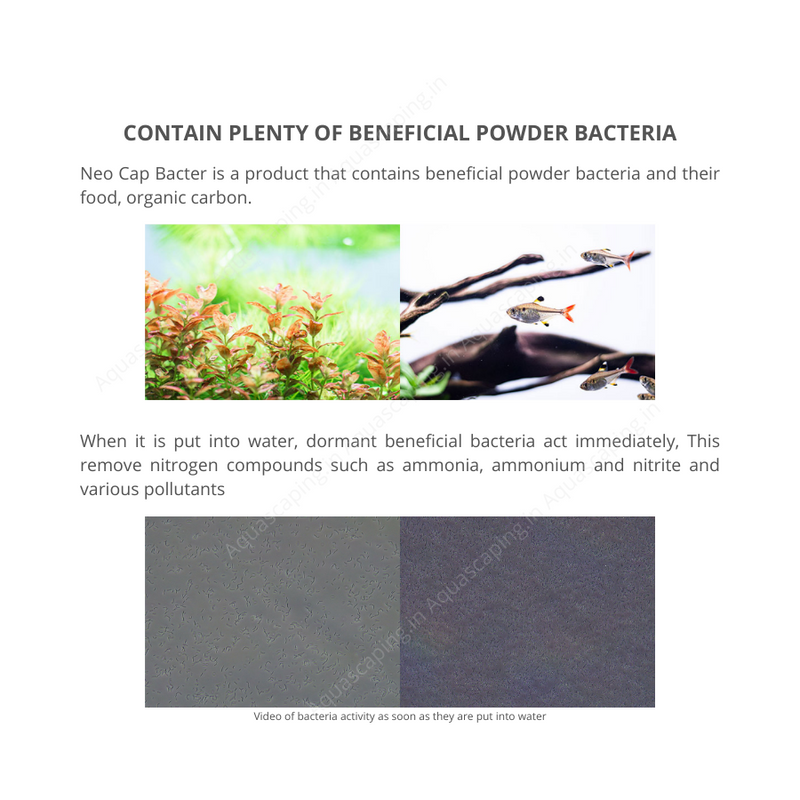 Bacter Neo Cap Bacter - Beneficial Bacteria and Organic Carbon