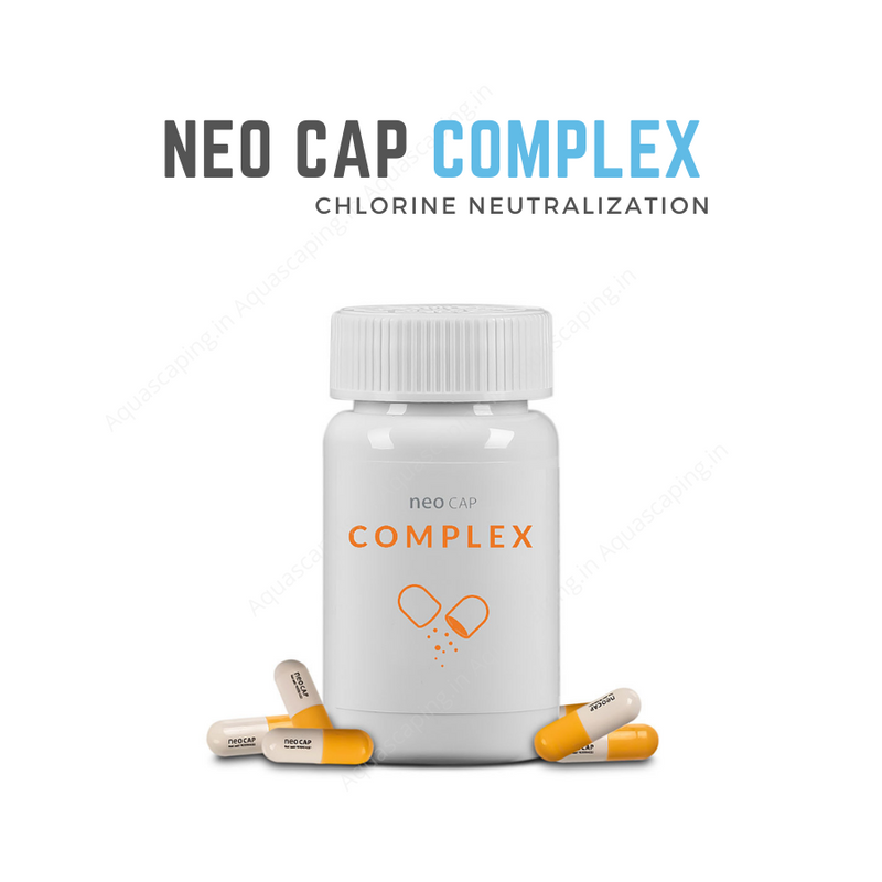 Neo Cap Complex