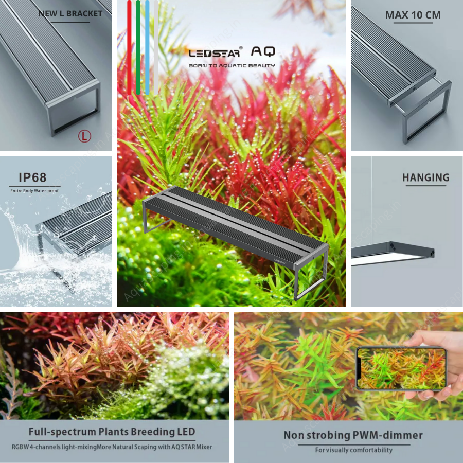 Ledstar AQ RGBW Z III - 2 Year Warranty India !