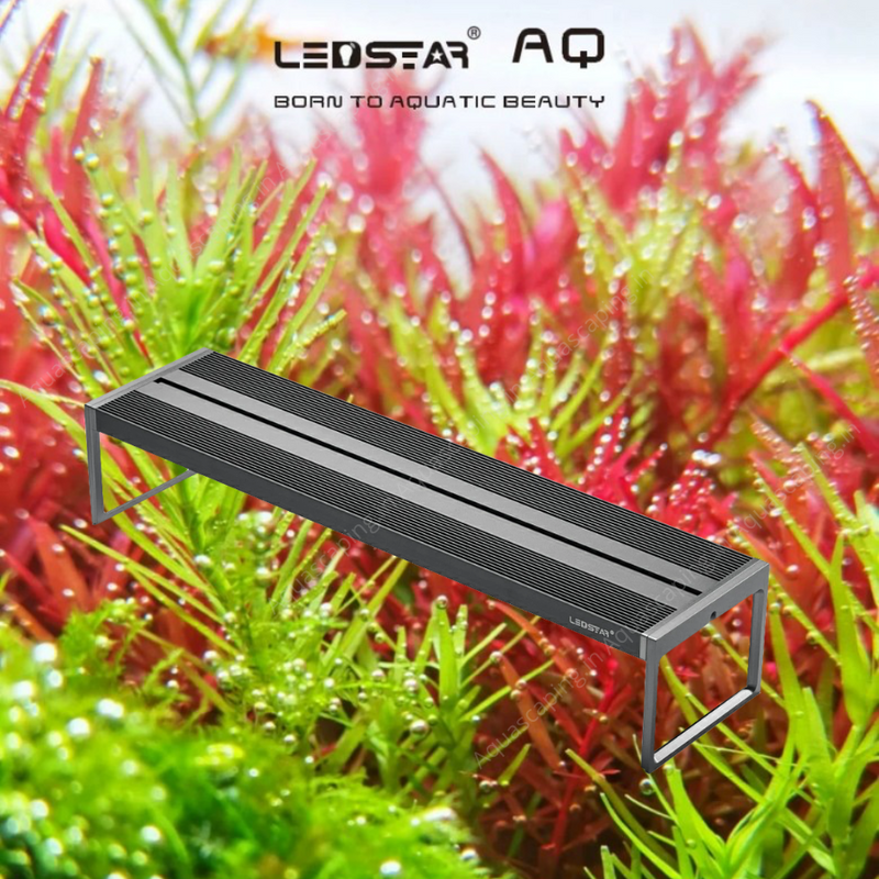 ledstar aq z3 on full planted aquarium picture 