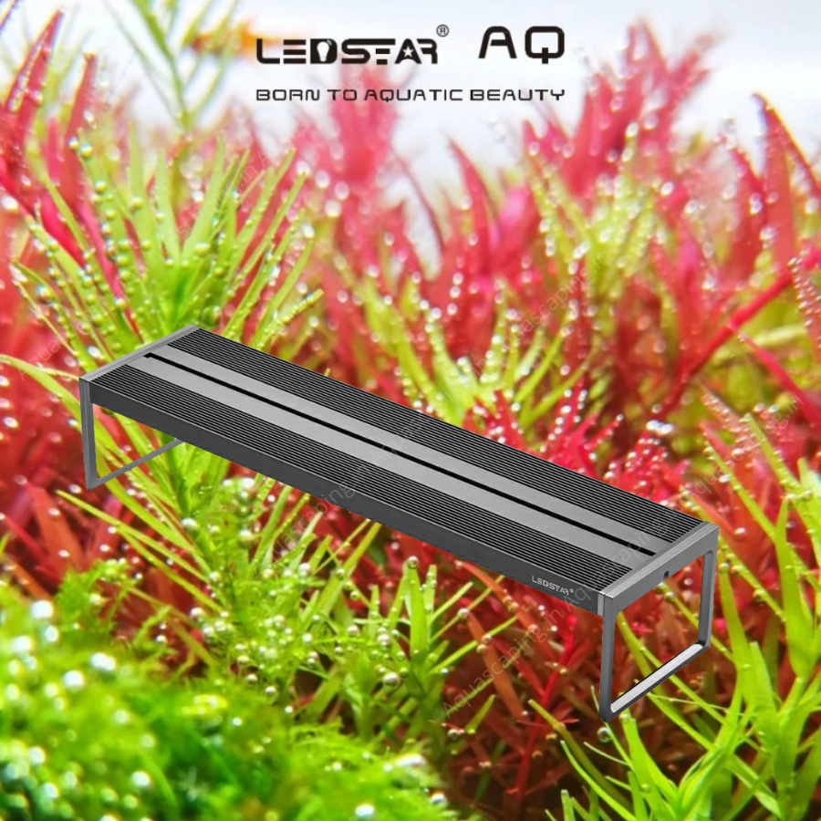 Ledstar AQ RGBW Z III - 2 Year Warranty India !