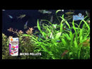 Buy Hikari Tropical Micro Pellets