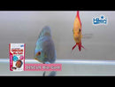 Buy Hikari Tropical DISCUS Bio-Gold
