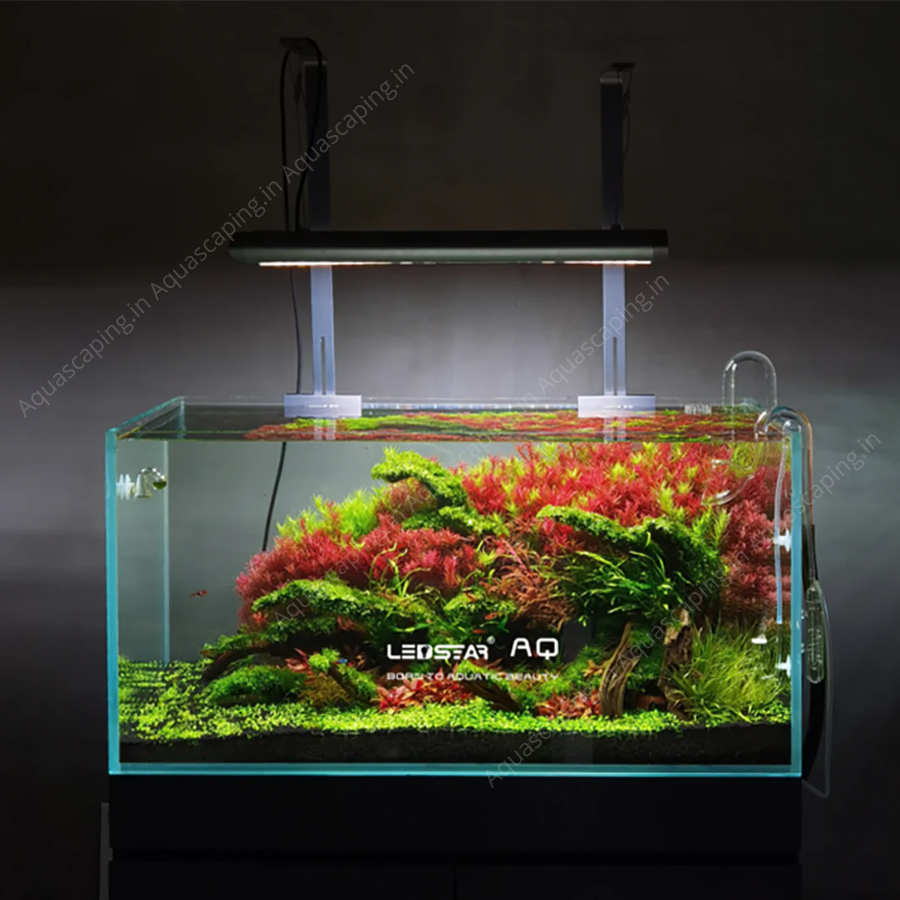 ADA アクアスカイ RGB Ⅱ 60 ADA AQUASKY RGB 60 シルバー ADA アクア