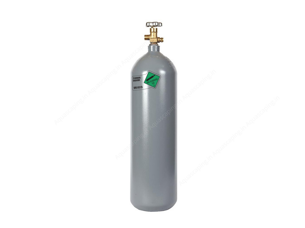 Co2 cylinder for clearance aquarium