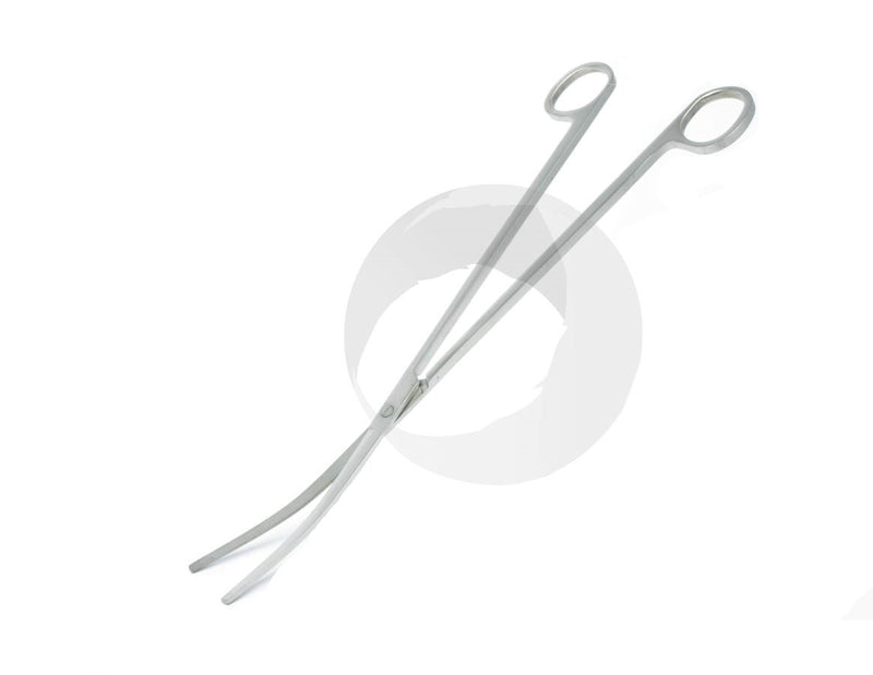 Stainless Steel Scissor Curved
