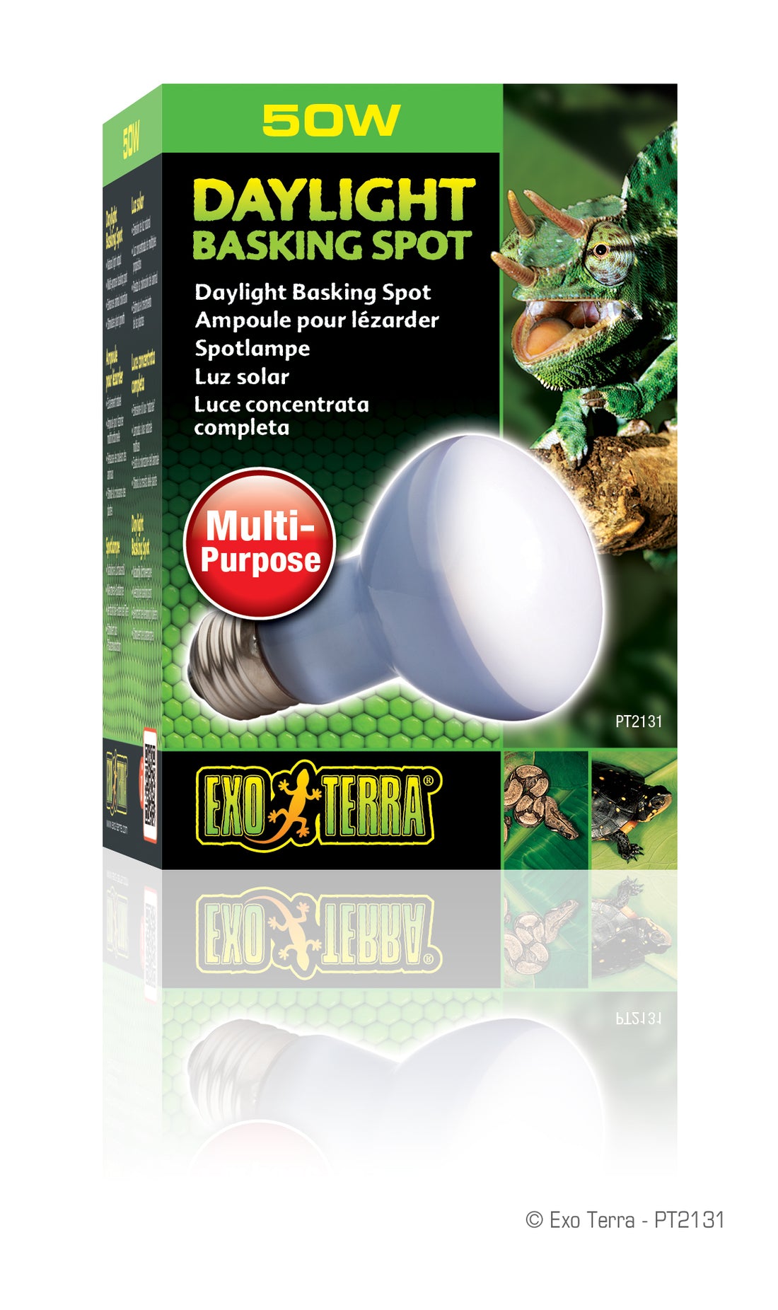 井戸川 Exo TERRA DAYLIGHT BASKIN 150W 6個 Exo-Terra Basking Spot Light (Turtle/Reptile)