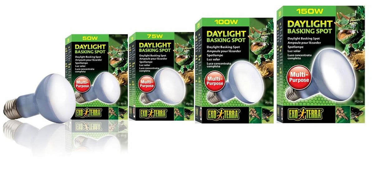 井戸川 Exo TERRA DAYLIGHT BASKIN 150W 6個 Exo-Terra Basking Spot Light (Turtle/Reptile)