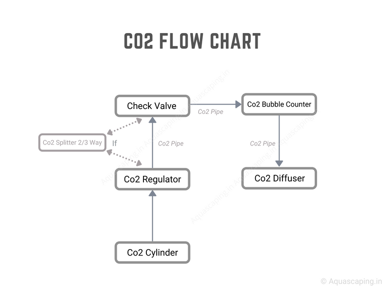 Co2 Kit Starter (2 Kg)