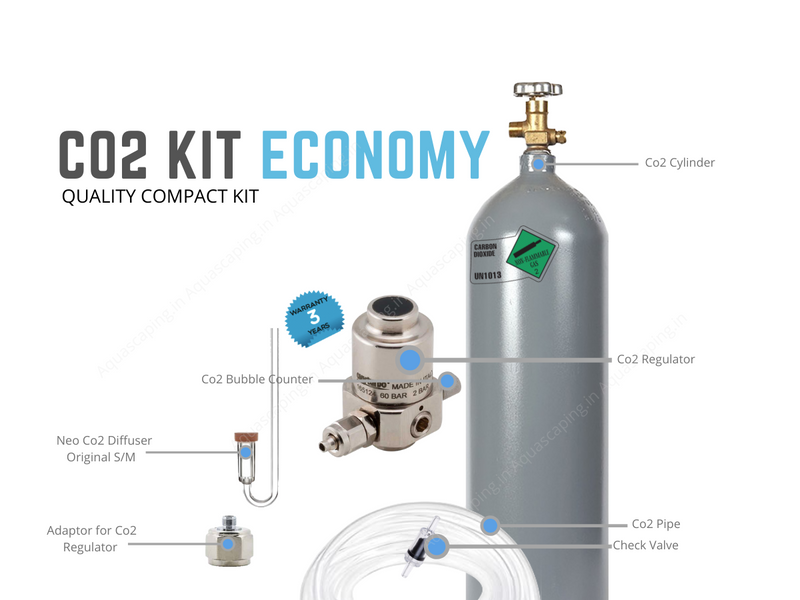 economy co2 pressurised co2 kit for planted aquarium online India with 3 year warranty