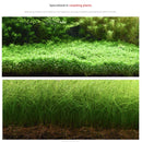 Neo Soil Compact Plants (8L - Free Plant + Iron Tab)