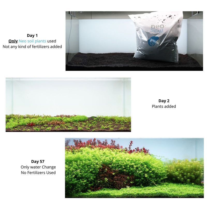 Neo Soil Compact Plants (8L - Free Plant + Iron Tab)