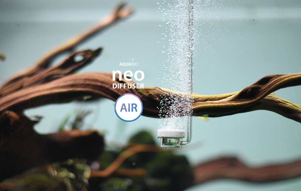 Aquario Neo Air Diffuser Normal Special M - L (White) Oxygen