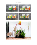 Neo BOOSTER Tropical