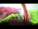 Neo Soil Compact Plants (8L - Free Plant + Iron Tab)